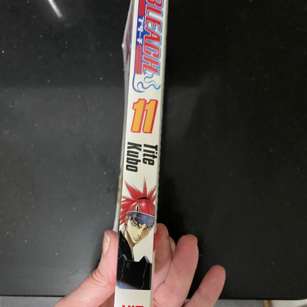 Bleach volume 11
